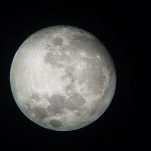 Meet your Posher, Noah